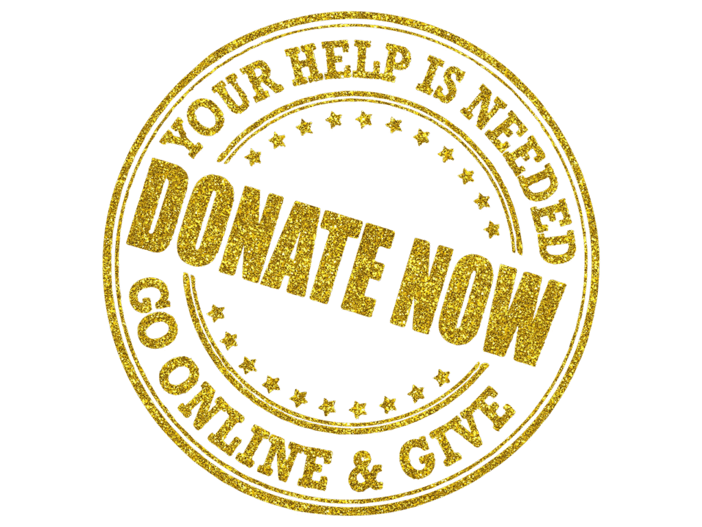 fundraising essentials for entrepreneurs looking to grow their business discover effective fundraising strategies and tips to help you raise money for your cause, project, or organization.