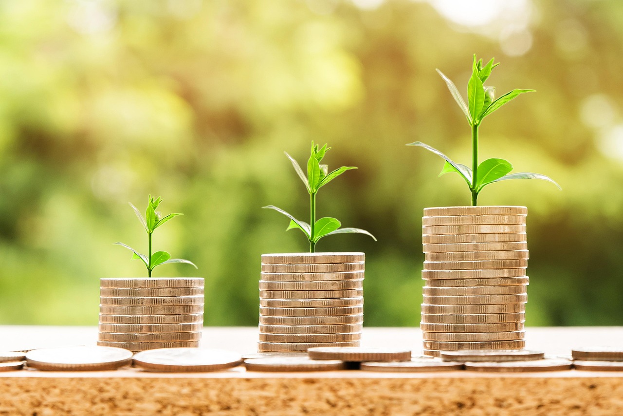 understanding the key factors to succeed in startup investment